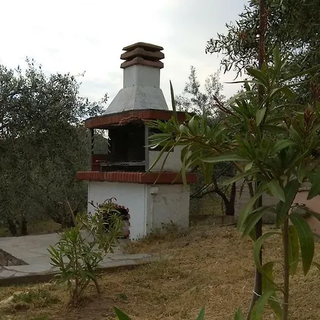 Olive Grove Nea Peramos (Macedonia)