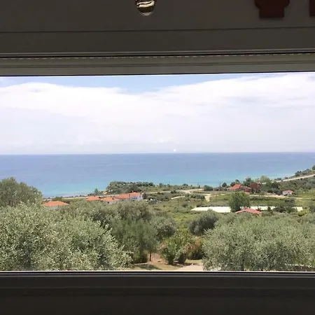 Olive Grove Nea Peramos (Macedonia)
