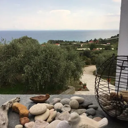 Country house Olive Grove *
