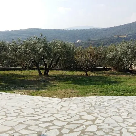 Country house Olive Grove